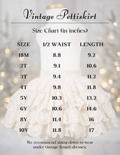 Load image into Gallery viewer, Vintage Pettiskirt - Light Pink (2026) - Three By The Sea Clothing
